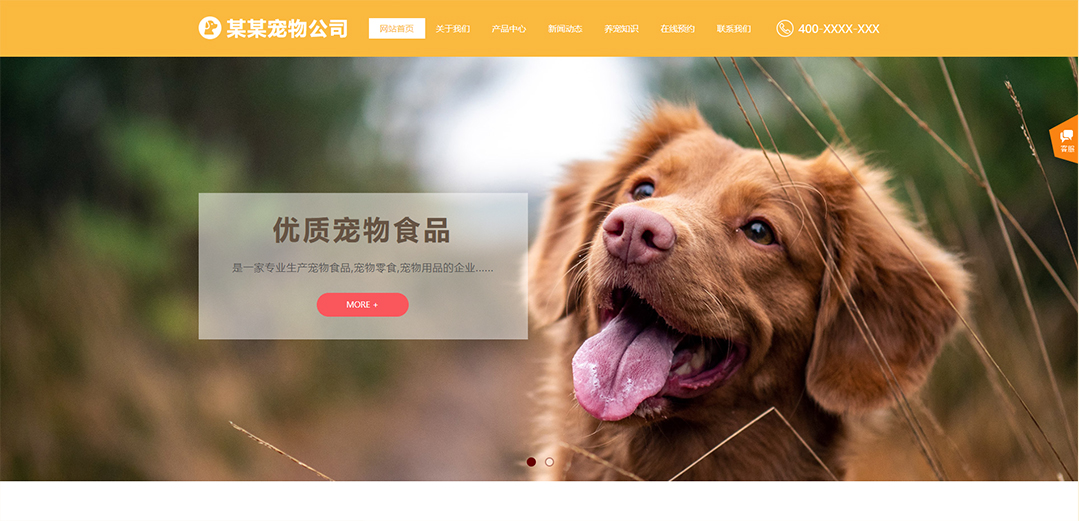 (帶手機版數據同步)自適應寵物類黃色通用網站模板 (帶手機版數據同步)自適應寵物類黃色通用網站模板