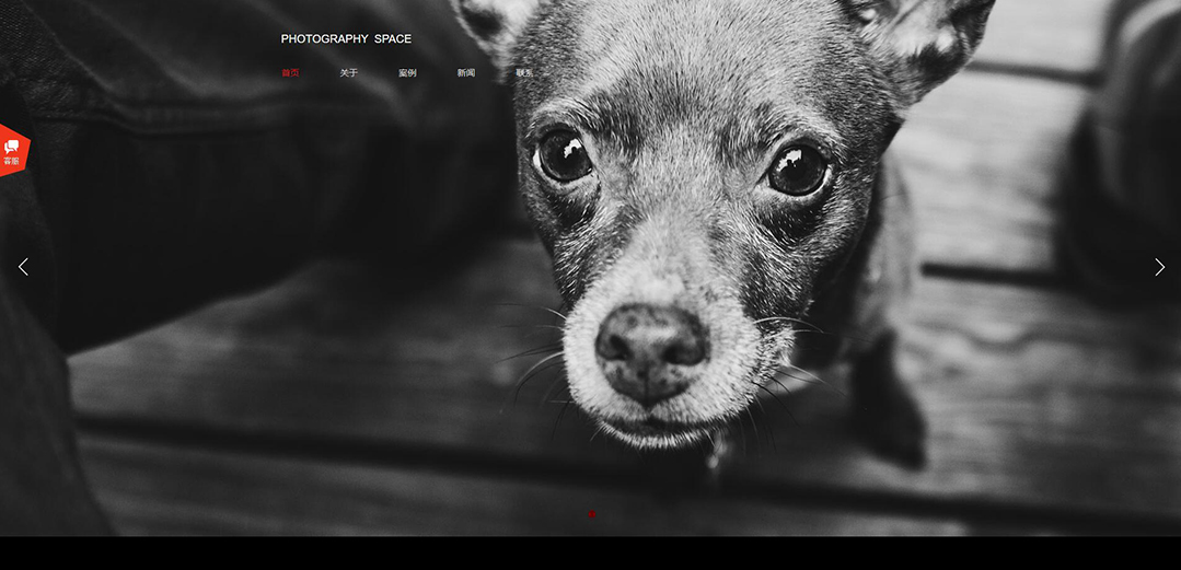 (帶手機版數據同步)自適應攝影沖印類通用企業網站模板 (帶手機版數據同步)自適應攝影沖印類通用企業網站模板